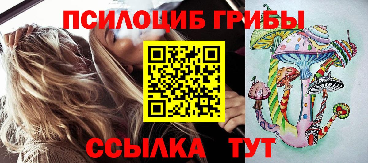 Псилоцибиновые грибы Psilocybe Бутурлиновка